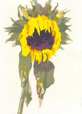 Литография Pétrovitch - Soleil