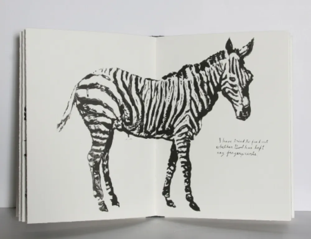 Иллюстрированная Книга Pettibon - Plots on Loan