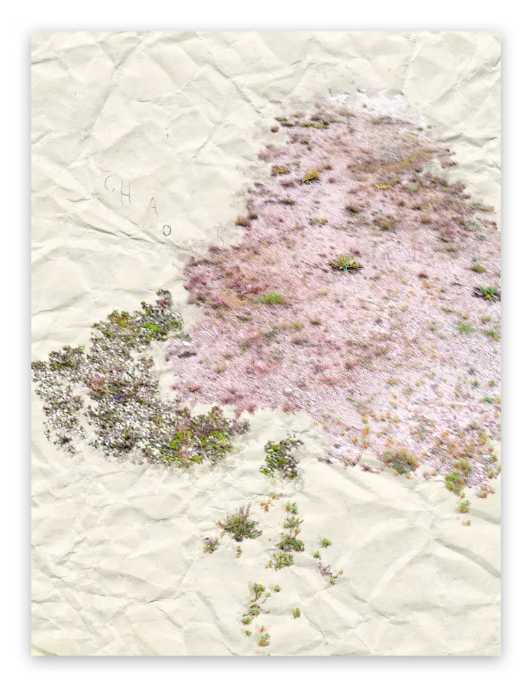 Фотографии Pezzot - I. Anthropological Purity