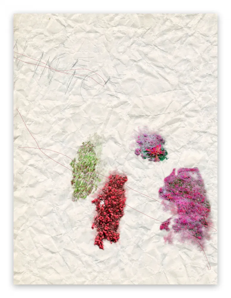 Фотографии Pezzot - IV. Nice