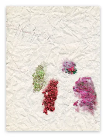 Фотографии Pezzot - IV. Nice