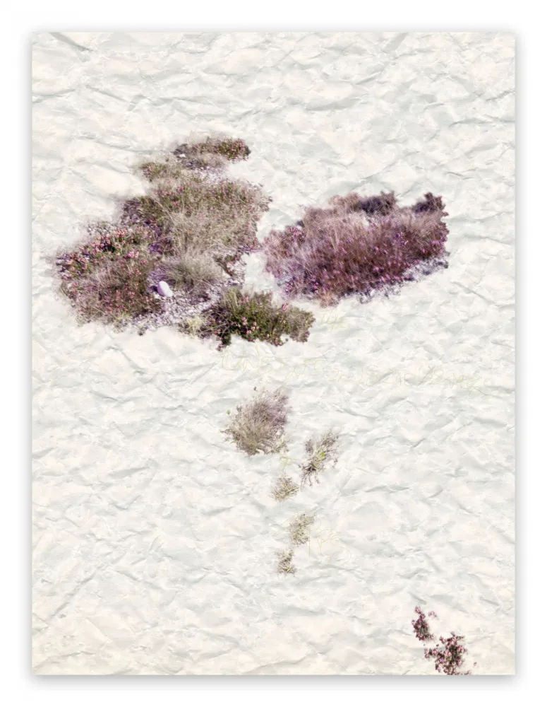 Фотографии Pezzot - VIII: The Unselfconsciousness Of Eros