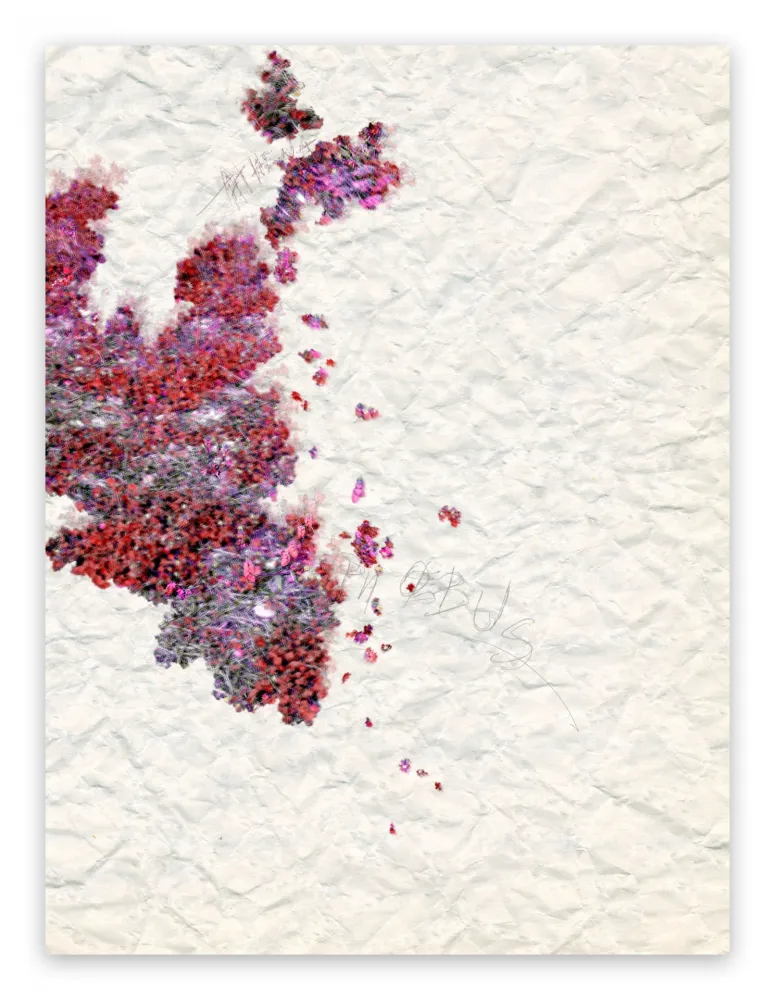 Фотографии Pezzot - X: Pleasant Dementia