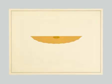 Литография Piacentino - Vehicle sculpture. Wall sculpture (d)