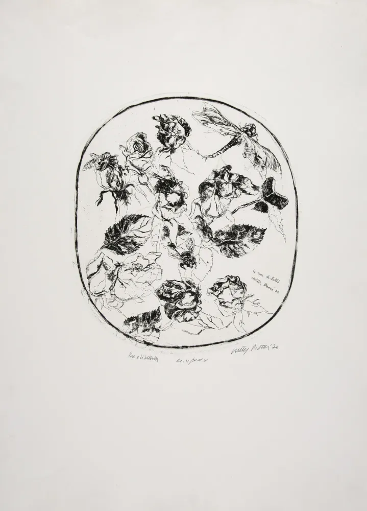 Офорт Piacesi - Rose e libellula