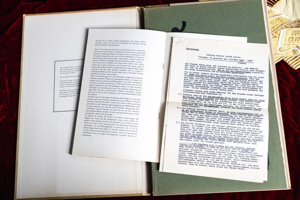 Иллюстрированная Книга Picasso - Carnet de la Californie 246/500 