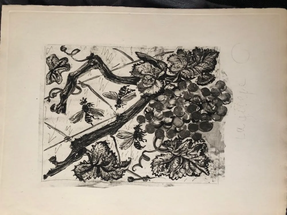 Акватинта Picasso - La guêpe