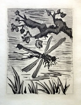 Офорт И Аквитанта Picasso - LA LIBELLULE