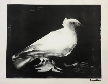 Литография Picasso - La petite Colombe