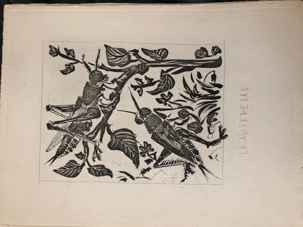 Акватинта Picasso - La sauterelle