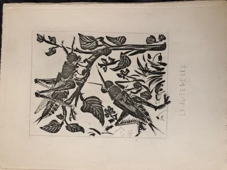 Акватинта Picasso - La sauterelle