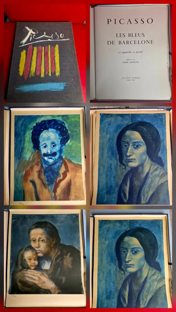 Трафарет Picasso - Le Bleus de Barcelone- Incomplete 