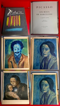 Трафарет Picasso - Le Bleus de Barcelone- Incomplete 