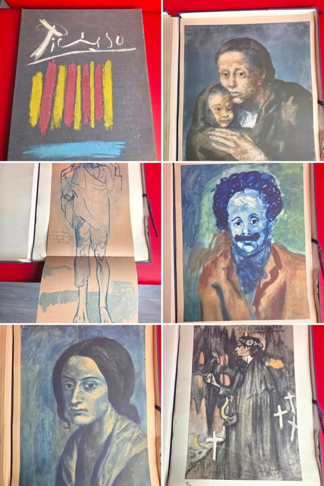 Трафарет Picasso - Les Bleus de Barcelone 1963