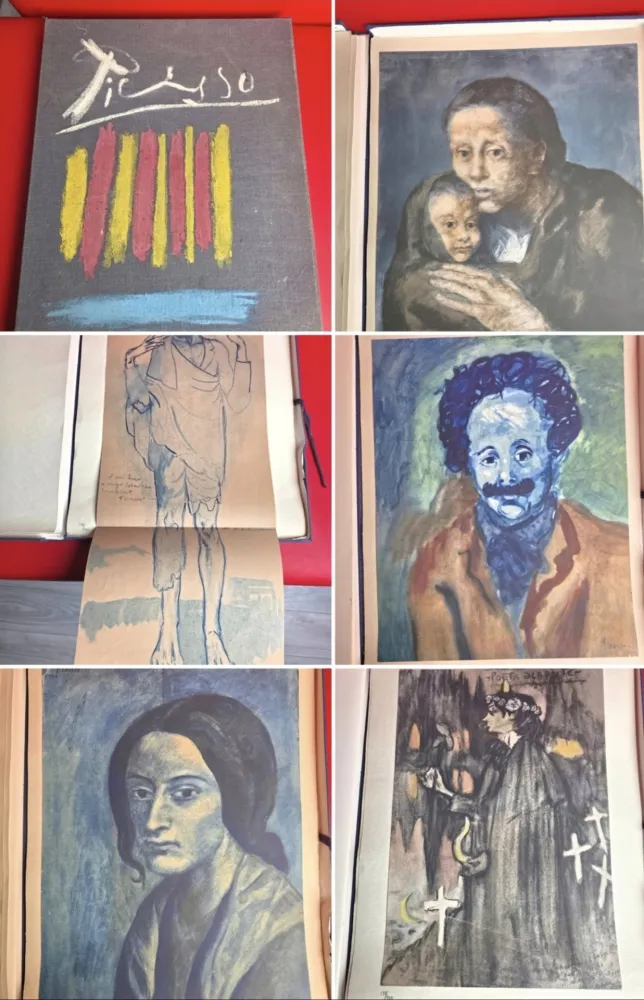 Трафарет Picasso - Les Bleus de Barcelone portfolio 