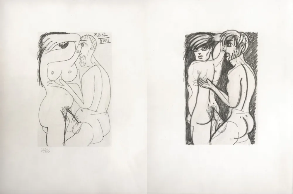 Нет Никаких Технических Picasso - Picasso and Me 