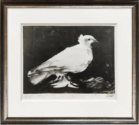 Фотографии Picasso - The Dove of Peace