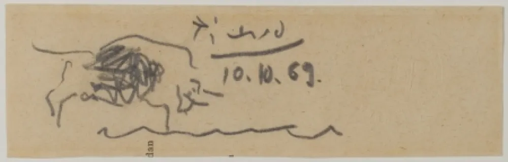 Нет Никаких Технических Picasso - Toro (Bull)