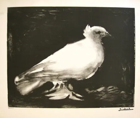 Литография Picasso - XXème anniversaire, mouvement de la paix (before lettering)