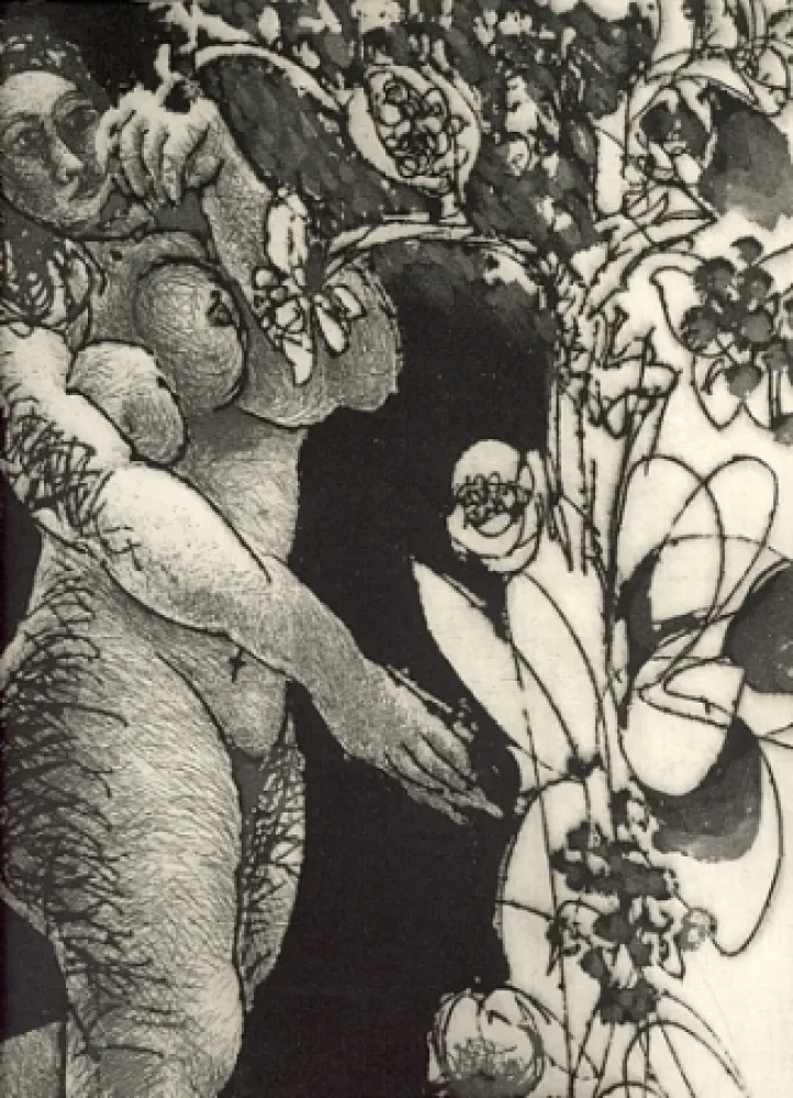 Иллюстрированная Книга Pignateli - Controra