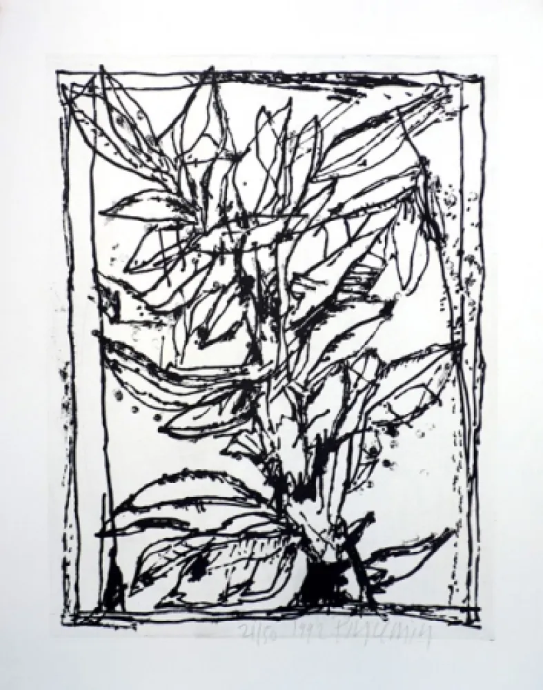 Акватинта Pincemin - Sans titre