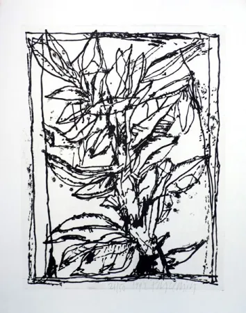 Акватинта Pincemin - Sans titre