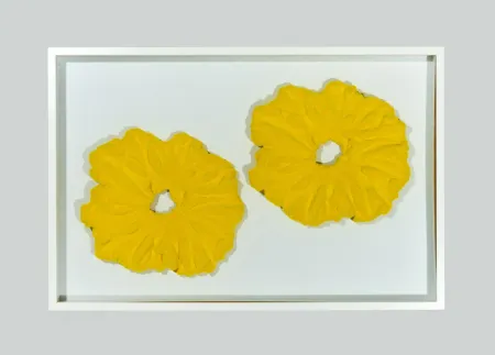 Нет Никаких Технических Pinelli - Pittura G.