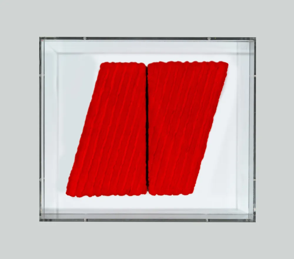 Нет Никаких Технических Pinelli - Pittura R.