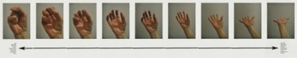 Многоэкземплярное Произведение Piper - Mokshamudra Progression