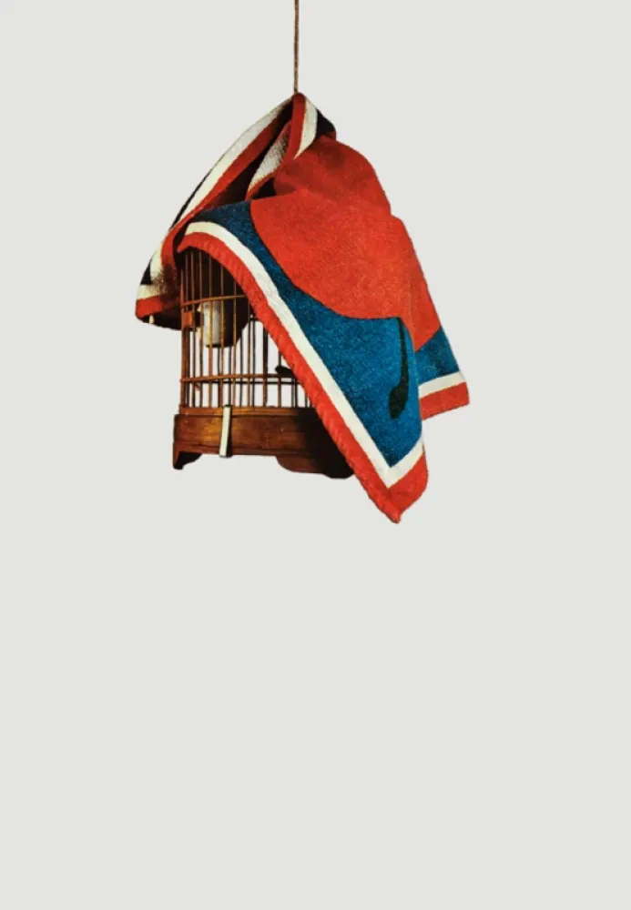 Сериграфия Pistoletto - La gabbietta