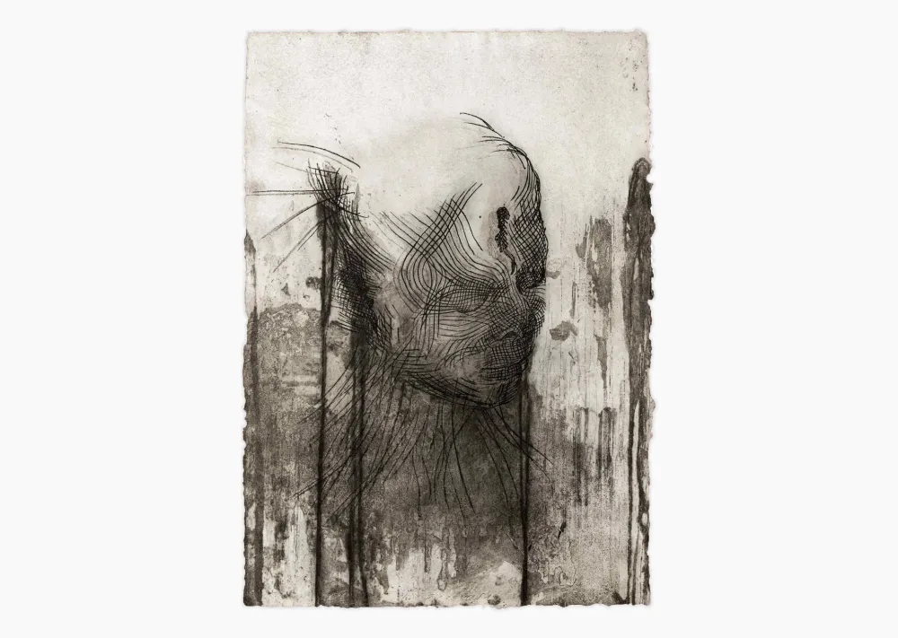 Гравюра Plensa - Twins 1