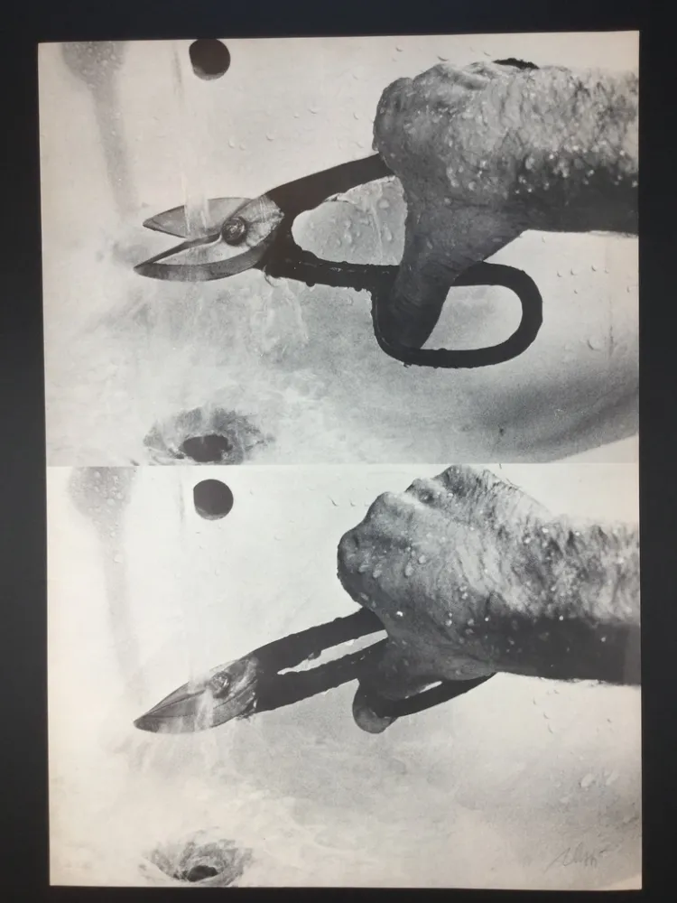 Литография Plessi - Naufragio 