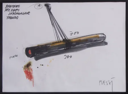 Нет Никаких Технических Plessi - PROGETTO PER VIDEO INSTALLAZIONE TRONCO