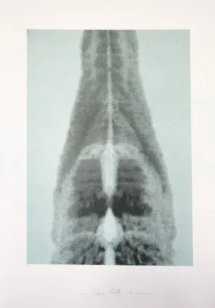 Многоэкземплярное Произведение Polke - Untitled (Columbus In Search of a New Tomorrow)