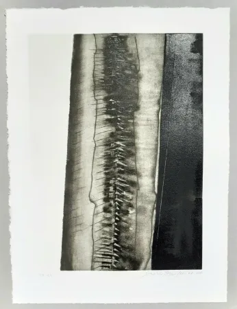 Акватинта Pomodoro - Composizione