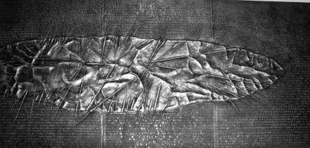 Иллюстрированная Книга Pomodoro - Sette frammenti da l'Arte dell'uomo primordiale