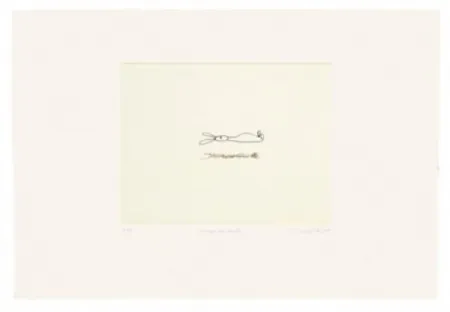 Гравюра Porter - Conejo que levita