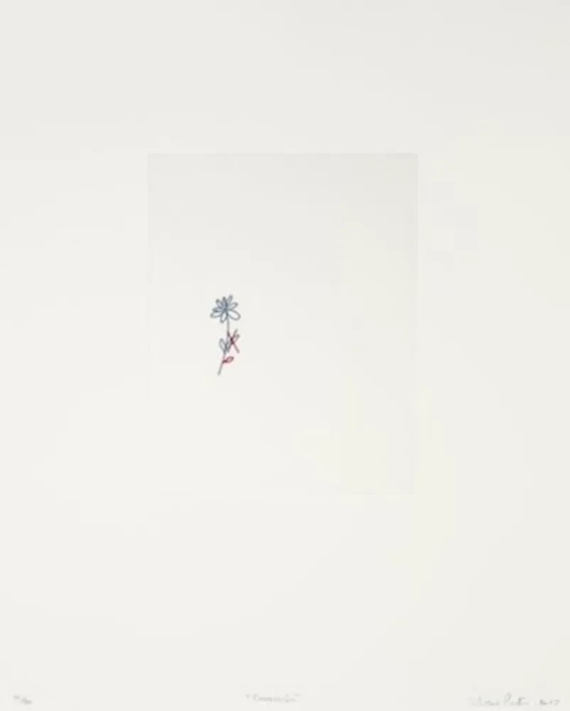 Гравюра Porter - Corrección