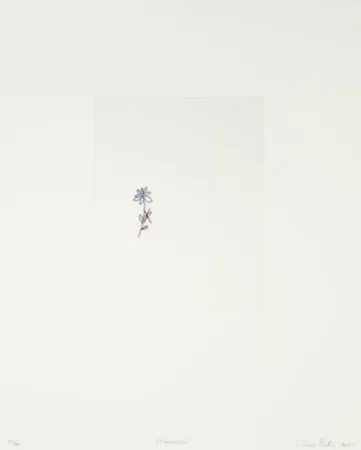 Гравюра Porter - Corrección