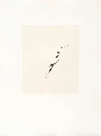 Гравюра Porter - Mod. 2