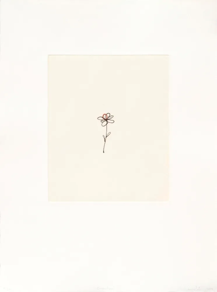 Гравюра Porter - Mod. 5