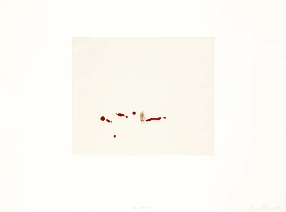 Гравюра Porter - Red drips