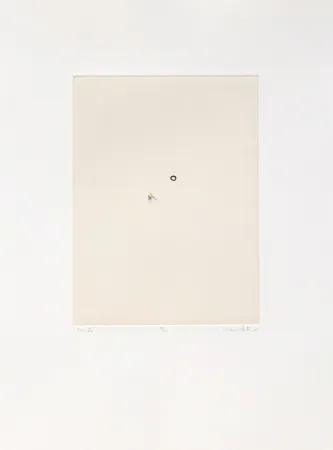 Многоэкземплярное Произведение Porter - Tenista