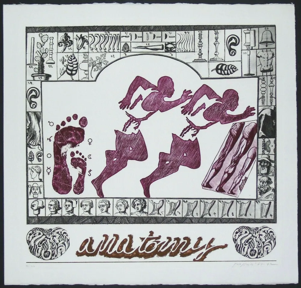 Гравюра Pozzati - Anatomy