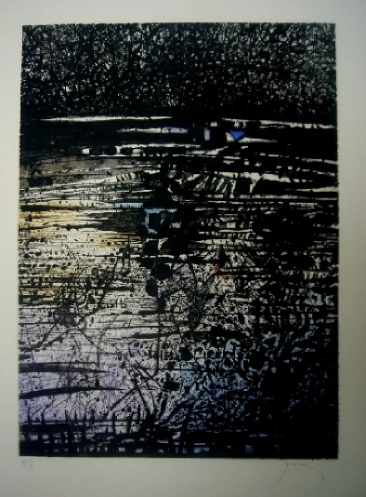 Офорт И Аквитанта Prassinos - L'étang