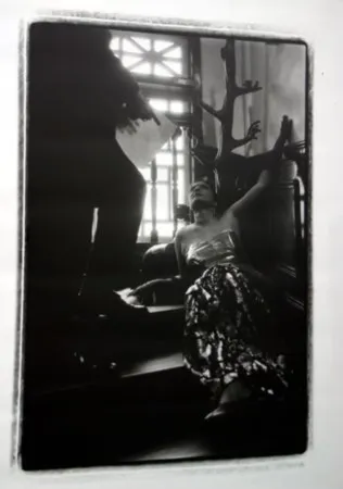 Многоэкземплярное Произведение Pushpamala - Phantom Lady #14