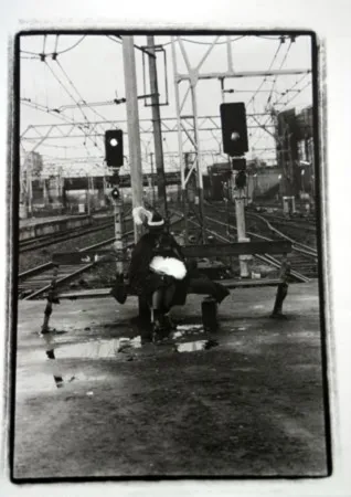 Многоэкземплярное Произведение Pushpamala - Phantom Lady #22