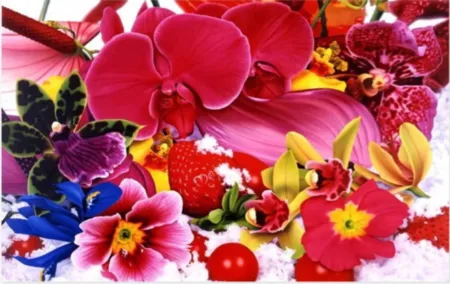 Многоэкземплярное Произведение Quinn - On the Shore of the Orissa