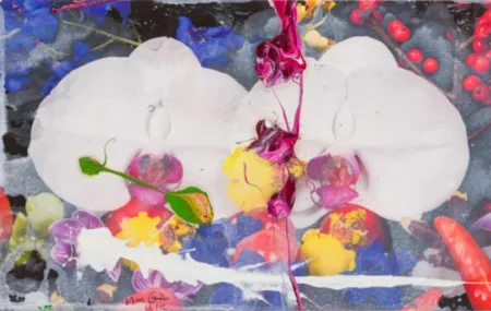 Многоэкземплярное Произведение Quinn - Orchids