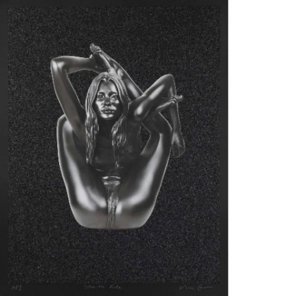 Сериграфия Quinn - Stealth Kate